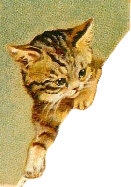cat-lt