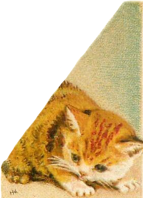 cat-rb