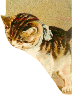 cat-rt